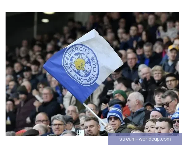 蓝狐近十五轮仅得十一分陷入英冠降级区保级压力骤增